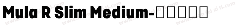 Mula R Slim Medium字体转换